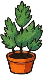 a potted plant with a green leaf.jpg